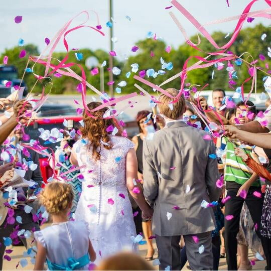 50 Pieces Ribbon Sticks Wedding Streamers Chromatic Streamers Silk Fairy Sticks for Party, Birthday, Celebration and Holiday