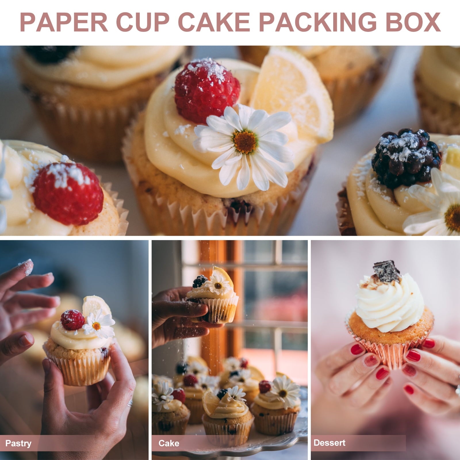10 Pcs Cupcake Wrappers Cookie Boxes Container White Wok Draining Rack Packaging Small Gift Paper Cups