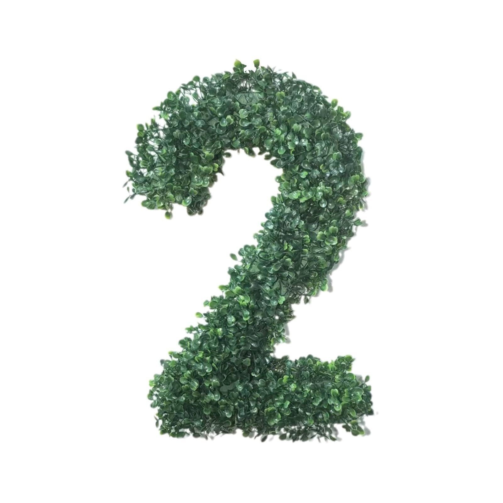 Foqnuq Classes Of 2025 Graduation Decor Hanging Welcome Sign Botanical Design for Outdoor Indoor Use Perfect for Parties and Photo Backdrops