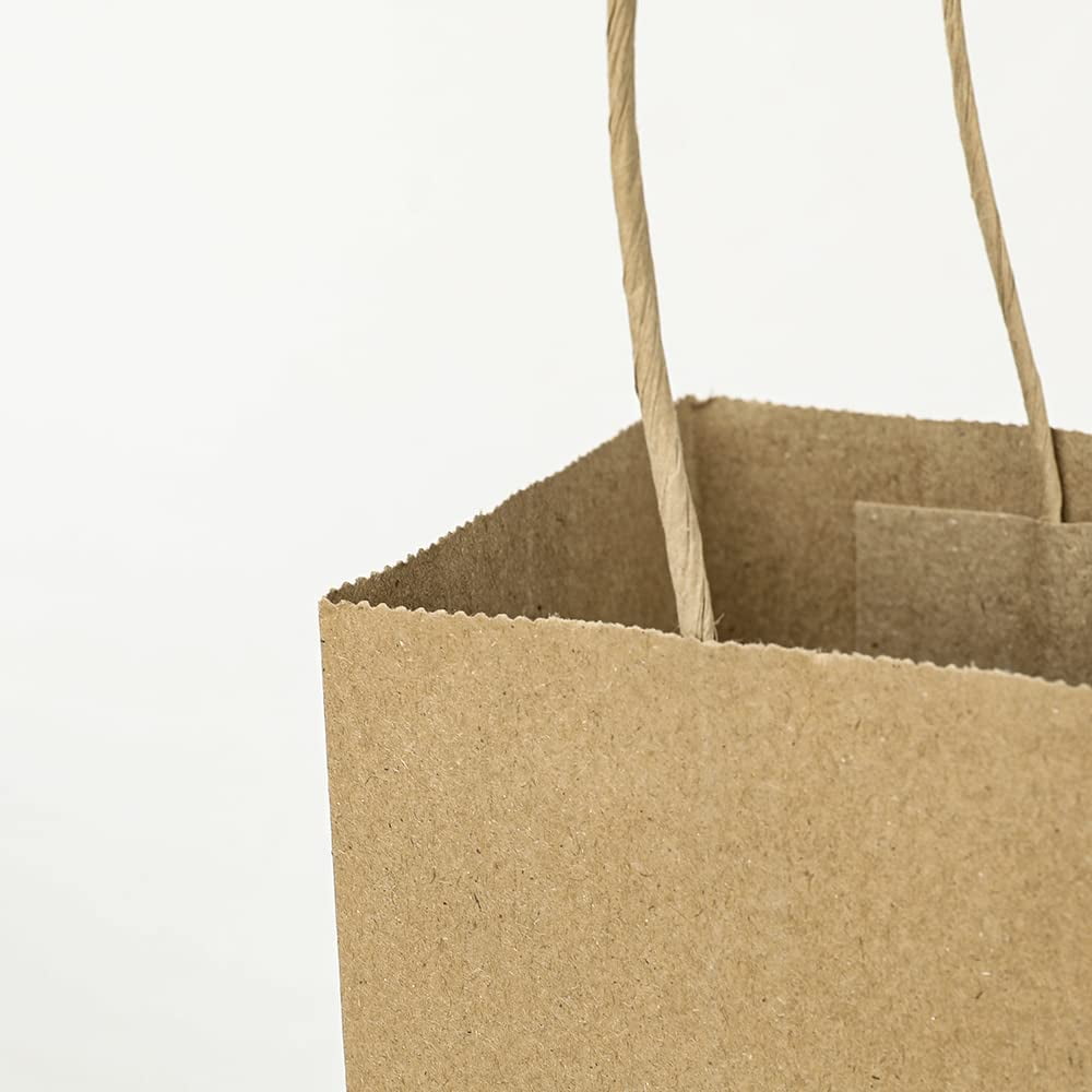 100pcs 5.25x3.25x8.25 Inch Small Plain Natural Paper Gift Bags with Handles Bulk, Kraft Bags for Birthday Party Favors Grocery Retail Shopping Business Goody Craft Bags Cub (Brown 100 Count)