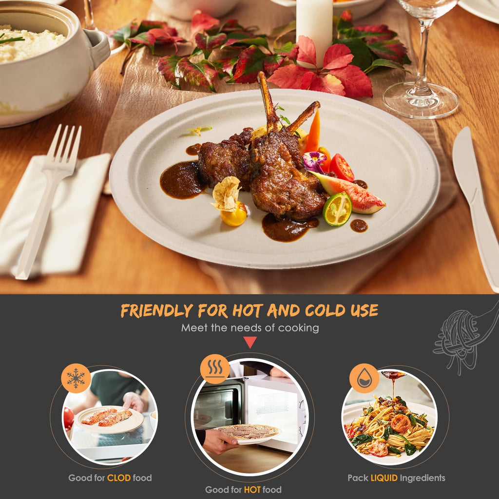 250pcs Disposable Paper Plates Set, Compostable Party Supplies, Biodegradable Dinnerware Include Paper Plates, Cocktail Napkins, Utensils for Party, Picnic, 50 Each