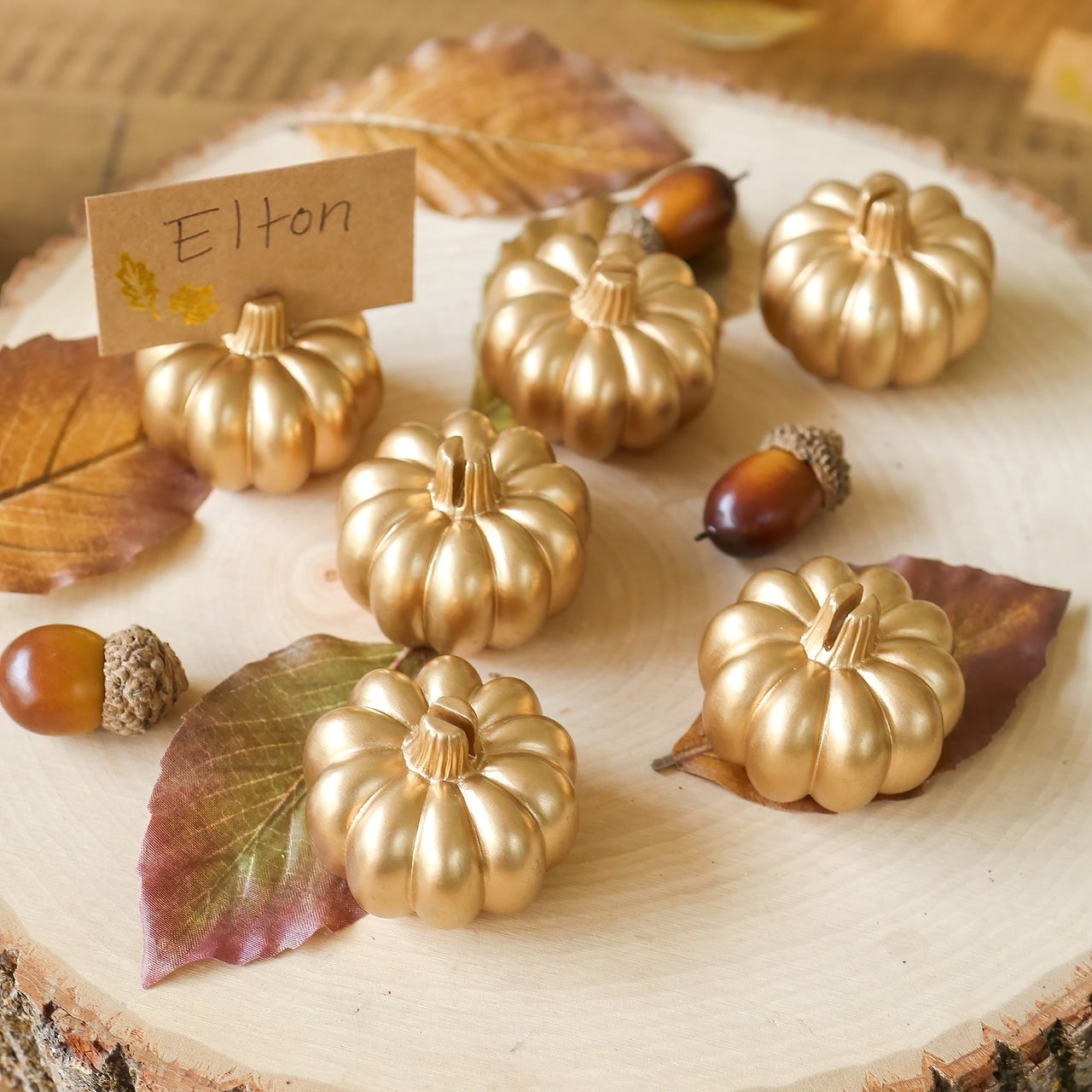 Kate Aspen Place Card Holders (Place Cards Included) - Set of 12 - Table Number Holder for Weddings, White Pumpkin Photo Holder for Table Assignments at Bridal Showers or Anniversaries