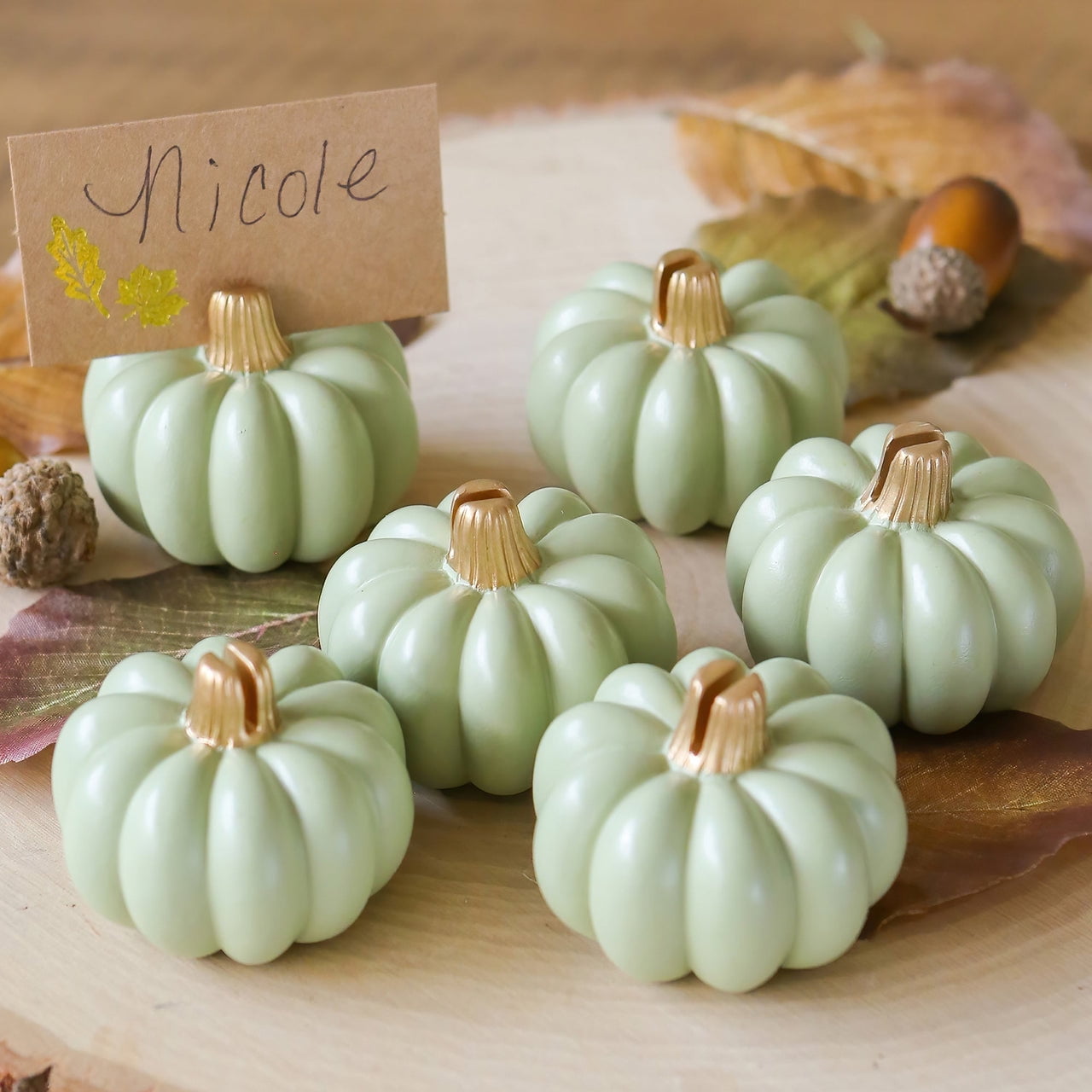 Kate Aspen Place Card Holders (Place Cards Included) - Set of 12 - Table Number Holder for Weddings, White Pumpkin Photo Holder for Table Assignments at Bridal Showers or Anniversaries