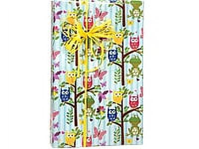 Woodland Fun Owl Birthday / Special Occasion Gift Wrap Wrapping Paper-16ft