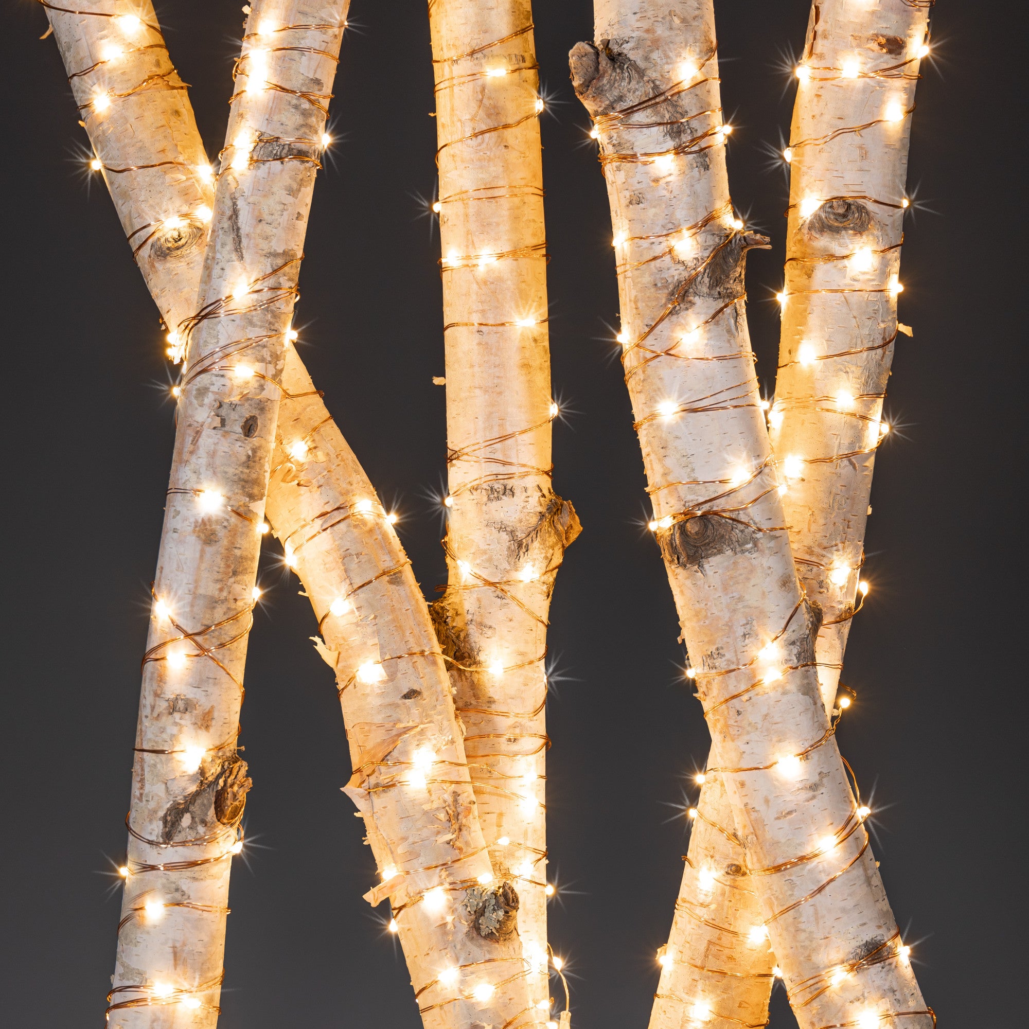 Gerson Everlasting Glow 92968 Outdoor Electric LED Light String, 20'