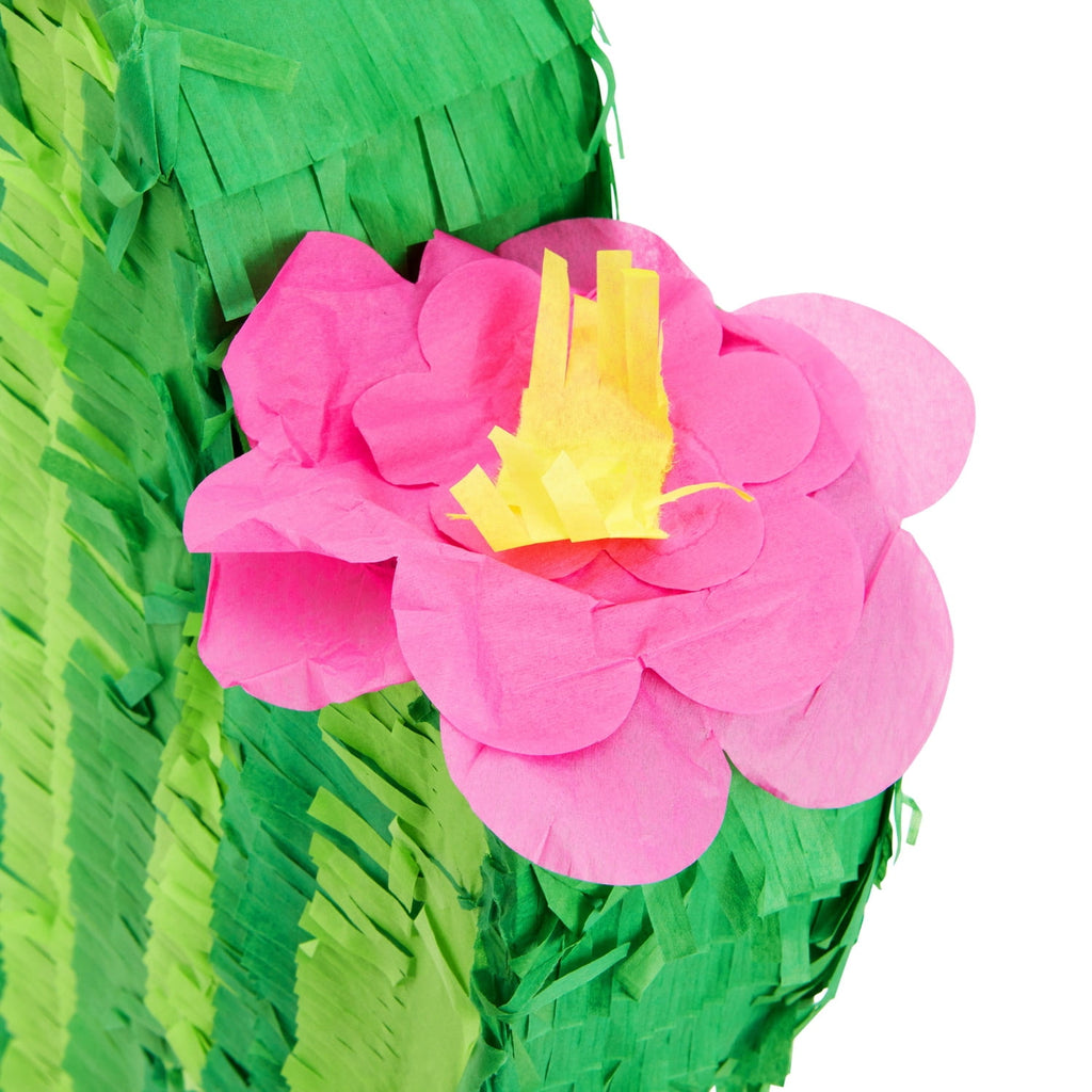 Cactus Pinata for Kids Birthday, Baby Shower, Cinco de Mayo, Mexican Fiesta Party Decorations (Small, 16.5 x 11.5 x 3 In), For Ages 3+