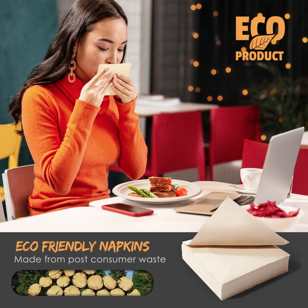 250pcs Disposable Paper Plates Set, Compostable Party Supplies, Biodegradable Dinnerware Include Paper Plates, Cocktail Napkins, Utensils for Party, Picnic, 50 Each