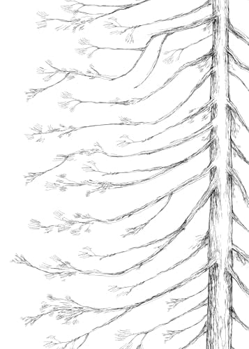 Guestbook Pine Tree Wedding Guest Book Signature Tree Alternative for Weddings